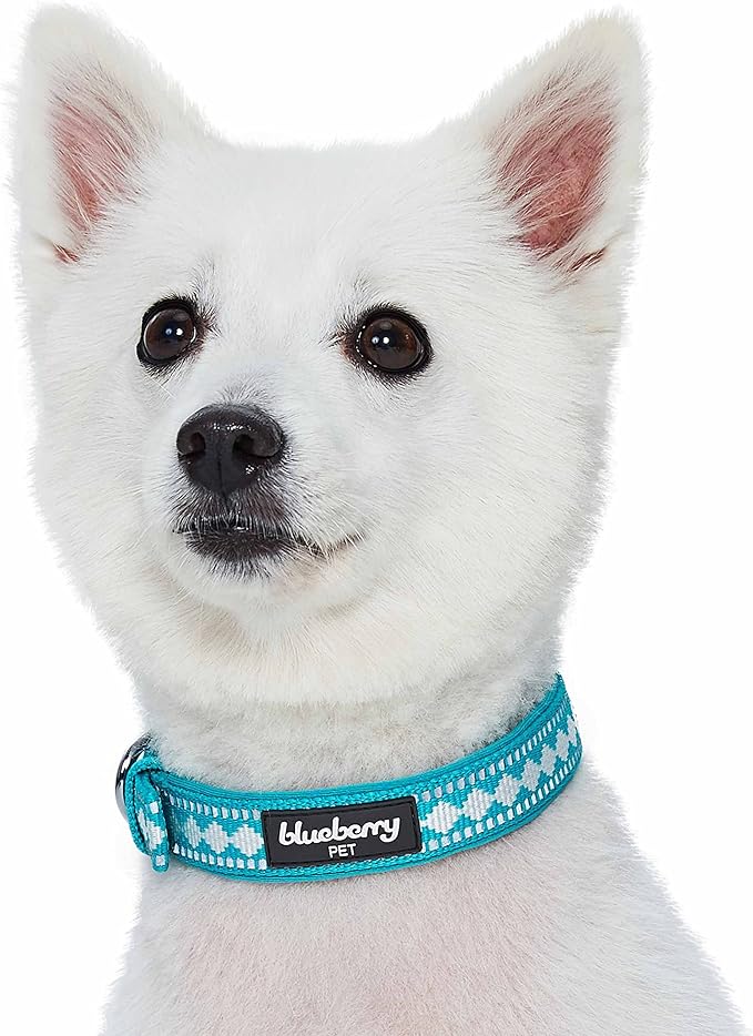 Blueberry Pet Reflective Jacquard Dog Collar with Neoprene Padding & Metal Buckle | Soft & Adjustable Safety Collar - Peacock, Neck 13-16.5", for Medium Breed