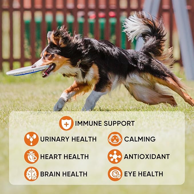 Dog multivitamin Soft Chews–Glucosamine, Chondroitin, MSM, Probiotics, Enzymes, Omega-3–Joint Support, Gut Health, Skin & Coat–Daily Maintenance & Preventive Care–Dog Supplements & Vitamins–180 Chews