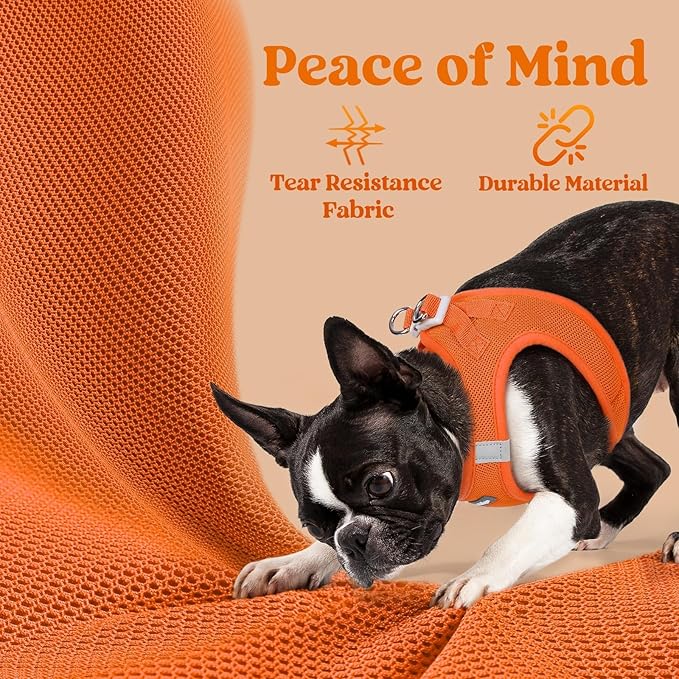 rabbitgoo Small Dog Harness, Step-in Soft Mesh Puppy Vest with Safety Buckle, Breathable Reflective Pet Harness for Small Medium Dogs, Orange XL