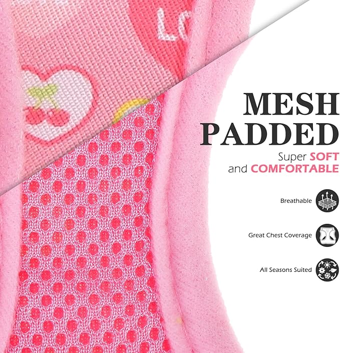 EXPAWLORER Small Dog Valentines Harness and Leash Set - Cute Puppy Harness Leash Dog Collar with AirTag Holder Silicone Case, Soft Padded Step in Pet Vest Reflective for Outdoor Walking, Heart S