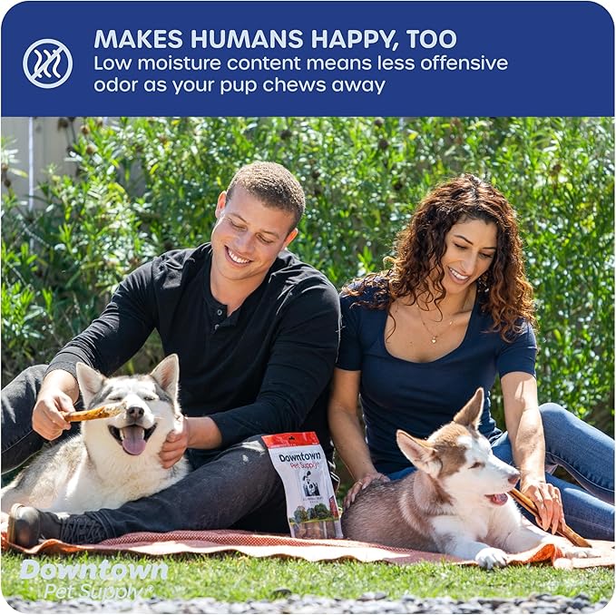 Downtown Pet Supply Jumbo Bully Sticks for Dogs - Natural Beef Chews, Low-Odor & Rawhide-Free, Long Lasting Dog Treats for Aggressive Chewers - Healthy, Safe & Delicious Chews Dogs Love (12" 10 Pack)