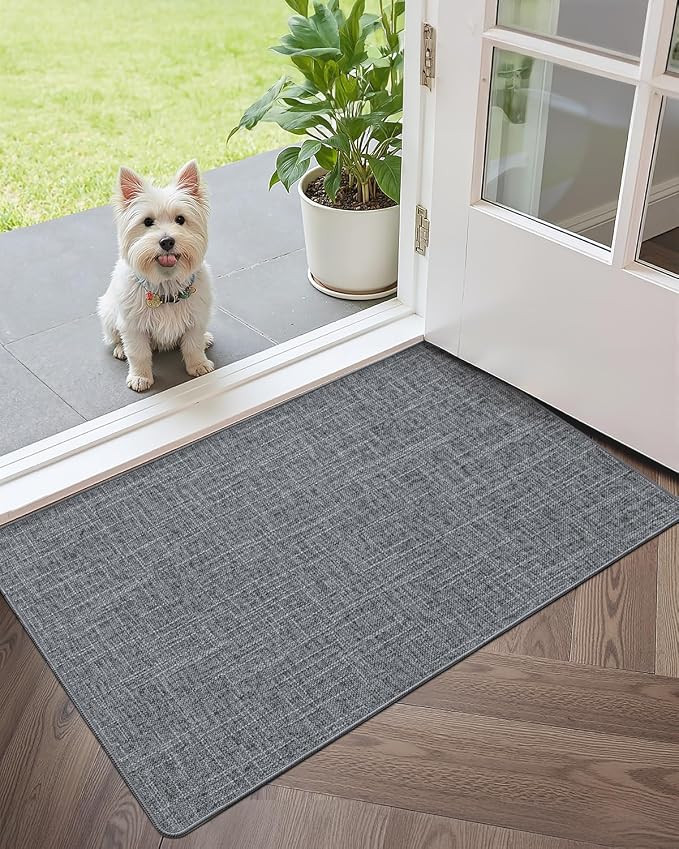Color&Geometry Ultra Thin Indoor Door Mat 24"x36", Non Slip Rubber Backed Dirt