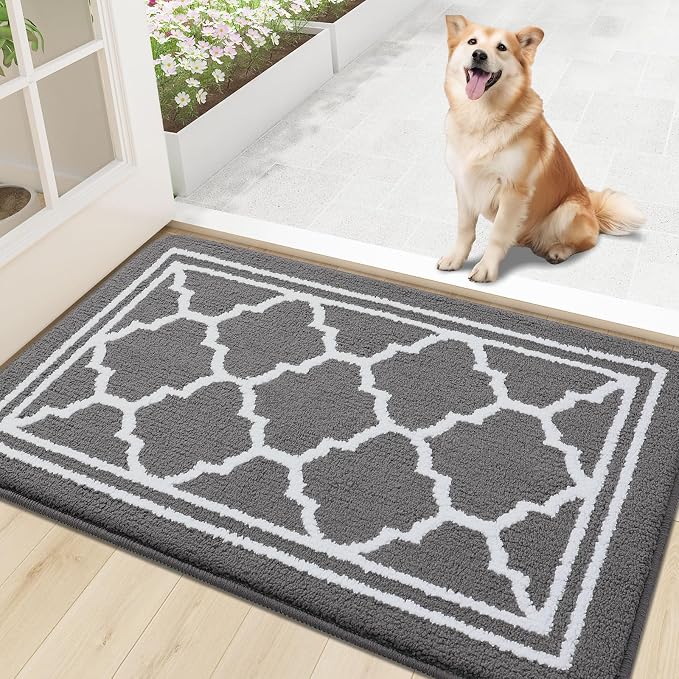 Buganda Indoor Door Mat, Dirt-Resistant and Absorbent Doormat, Low Profile