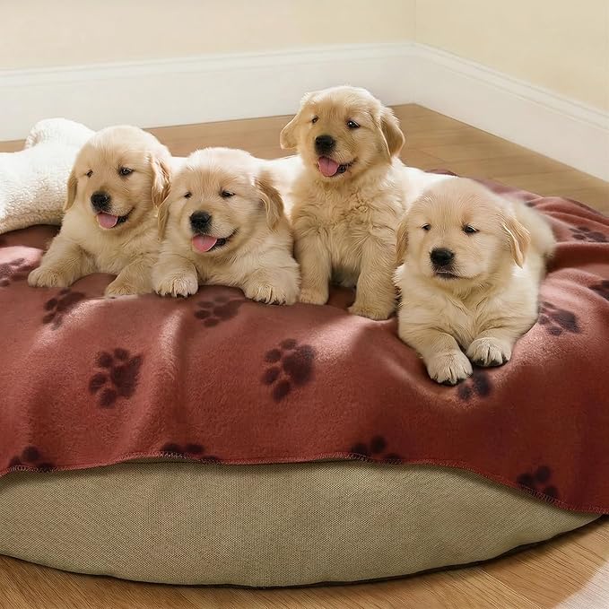 LINENLUX Cute Dog Blanket for Small Medium Dogs 6-Pack Soft Stretchy Fleece Blankets for Pet Cat Puppy Warm Wrinkle-Resistant Throw for Couch Bed Outdoor Coffee 45x31 inch (Pack of 6)