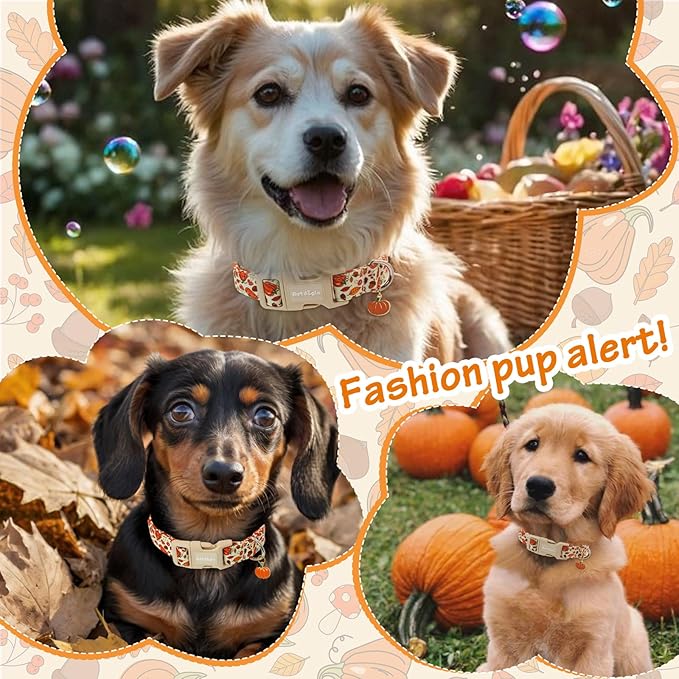 Fall Dog Collar – Halloween & Thanksgiving Dog Collars for Small Dogs – Soft & Comfortable Autumn Puppy Collar with Quick Release Buckle, Small Dog Collars for Girl Boy Dogs-S