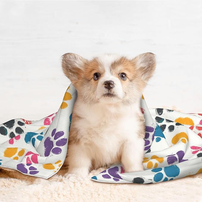 Colorful Paws Blanket for Pet - Dog Throw Blanket 40x30 Rainbow Couch Blankets for Puppy Dogs Cats