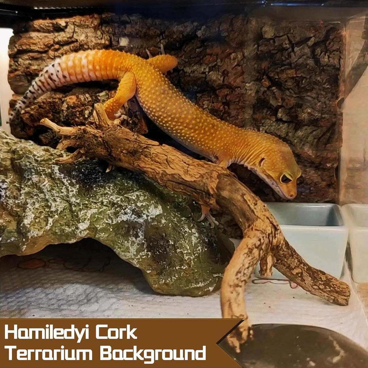 Cork Terrarium Background 11.8x7.9in 8PCS Natural Reptile Cork Bark Flats Terrarium Board Bearded Dragon Climbing Wall Mat Tank Accessories Decor for Lizard Chamelon Snake Turtle Spider Crested Gecko