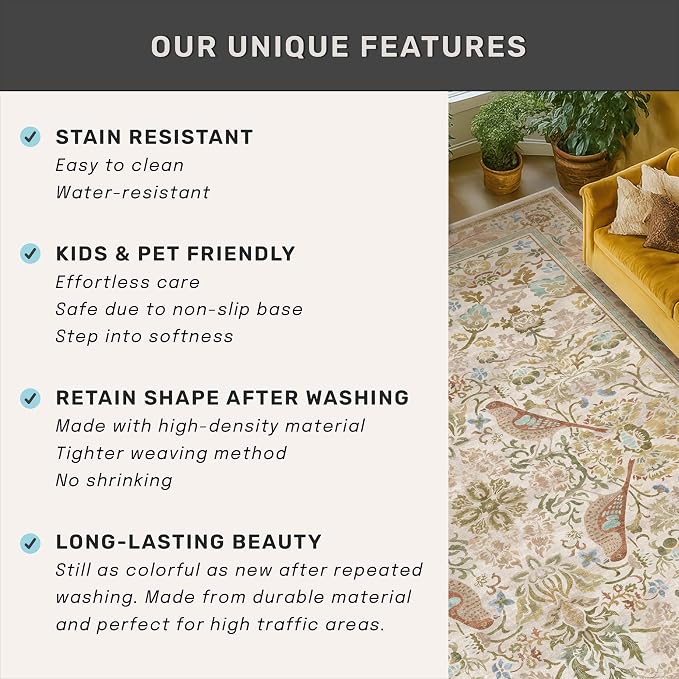 Hazo Haus Washable Area Rugs 5x7