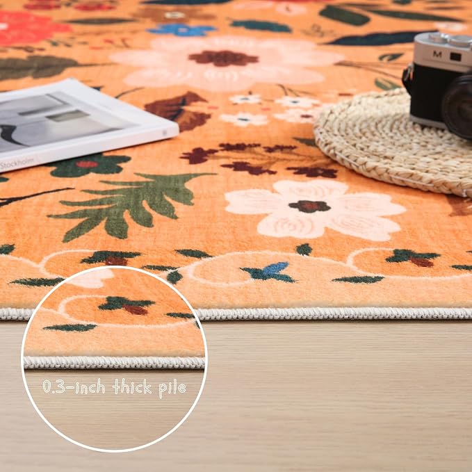 Rugcomf Door Mat Indoor Entrance 2x3 Rug Machine Washable Boho Floral Small