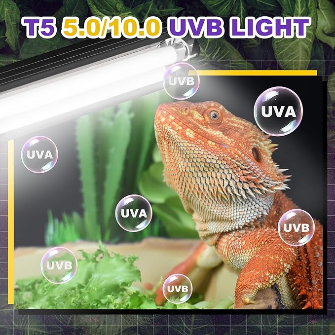T5 HO UVB Lighting Combo Kit, 8W Reptile Light Fixture with Fluorescent Light Bulbs, Tropical 5.0 UVB Light for Reptiles and Amphibians, Basking Light for Bearded Dragon, High Output Natural Light