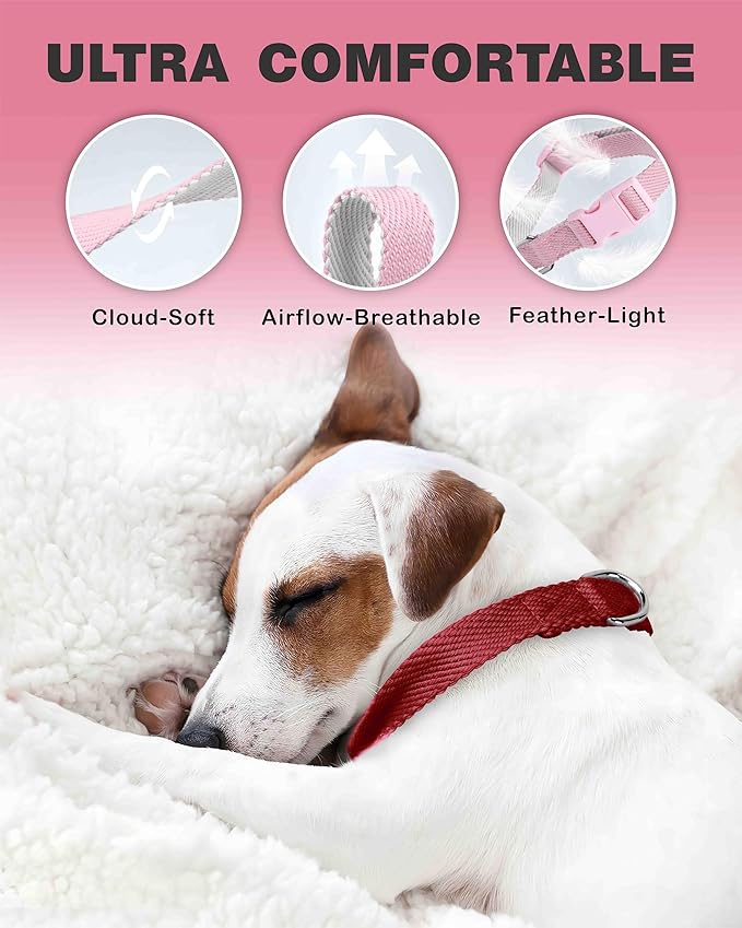 Dynmeow Soft and Breathable Cotton Dog Collar, Durable Adjustable Pet Collar with Quick-Release Buckle, Lightweight for Sensitive Skin for Puppies and Extra-Small Dogs, Red, Xs