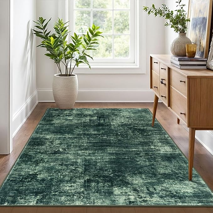 IOHOUZE Abstract Area Rug 4x6 Ft Washable Rugs