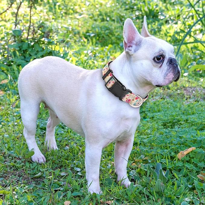 Reflective Dog Collar Padded with Soft Neoprene Breathable Adjustable Nylon Dog Collars for Small Medium Large Dogs (X-Small (Pack of 1), Vanila/Pink Floral Collar+Leash)