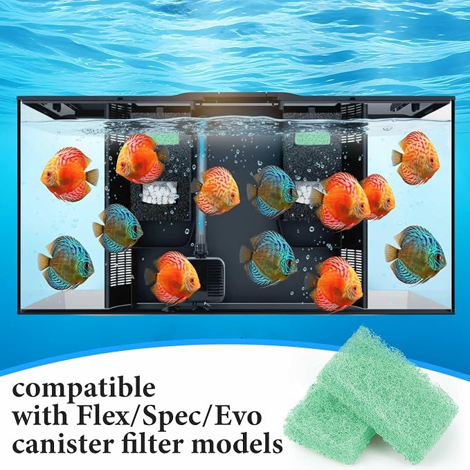 12 Pcs Phosphate Remover Inserts Compatible