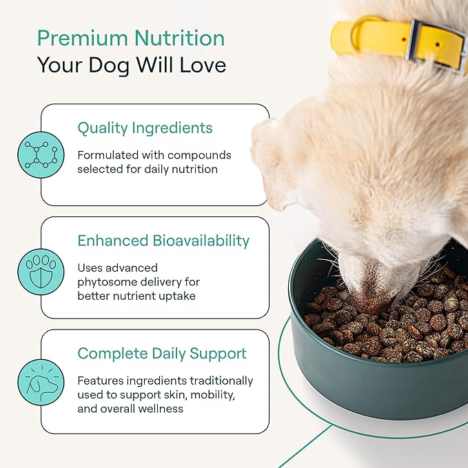 Dog Food Supplement – Multivitamin Powder for Dogs - Bone Broth Base with 6 Human-Grade Superfoods - Supports Joints, Gut, Skin & Coat - Ideal for Picky Eaters, 35+ lbs - 30 Packets
