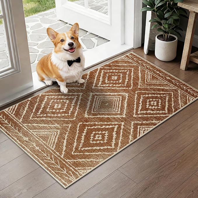 BESTSWEETIE Area Rug 2x5 Rug Machine Washable Non-Slip Low Pile Print Pattern