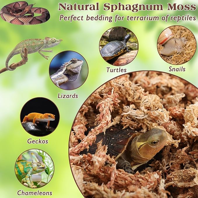 ZeeDix 12OZ Premium Sphagnum Moss for Reptiles, 20QT Dried Moss for Terrarium Long Fibered Leopard Gecko Moss Natural Sphagnum Peat Moss Bedding for Frogs Anoles Snake Turtle Plants