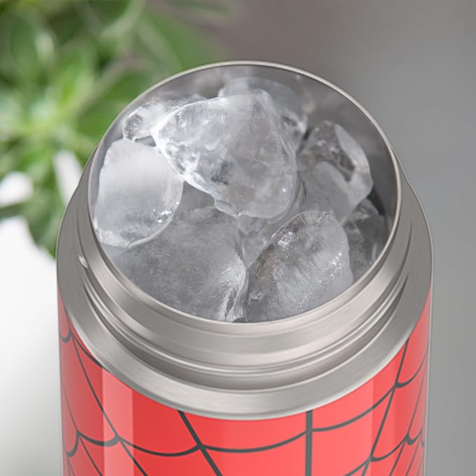 THERMOS FUNTAINER Water Bottle
