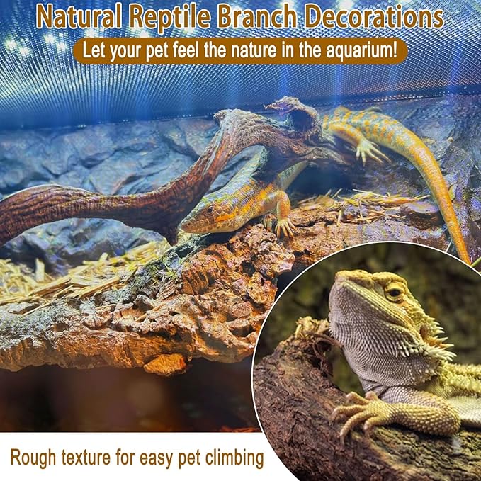 BNOSDM Reptile Forest Climbing Branch Decor Crested Gecko Climb Wood Natural Branches Tree for Snake Frog Chameleon Spider Bearded Dragon Terrarium Habitat Tank Accessories,8PCS