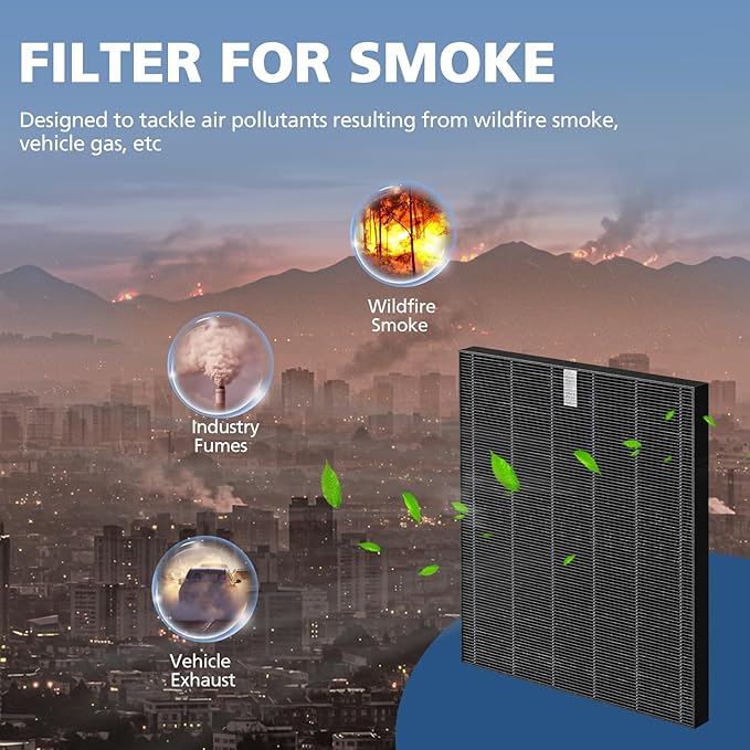 2 Pack C545 HEPA Smoke Replacement Filter S Compatible