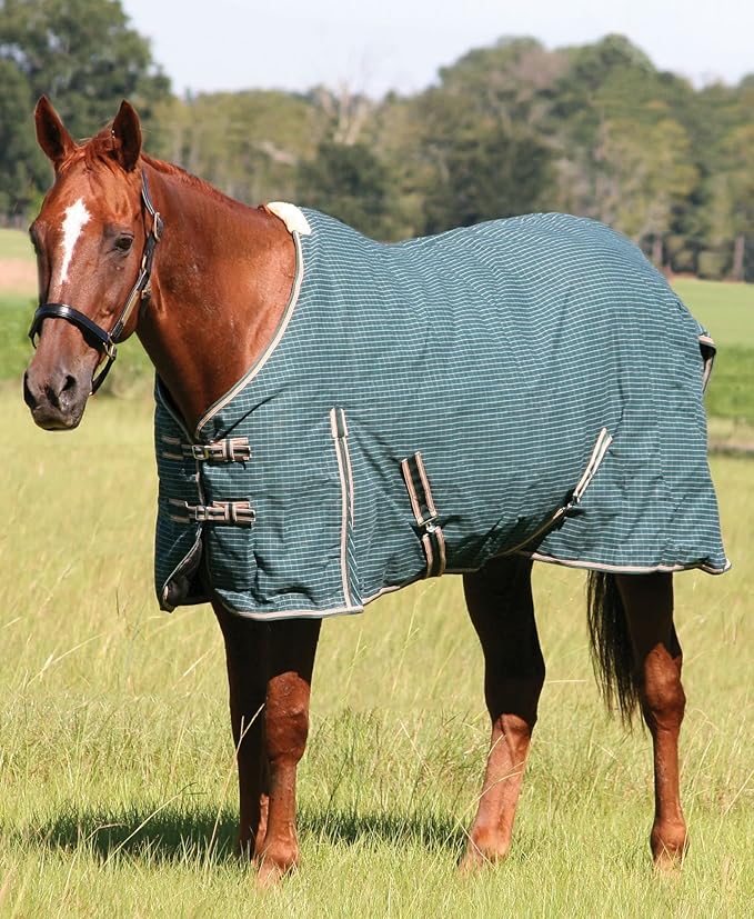 Jeffers Equine Basic Canvas Horse Blanket, 75" – Water Resistant Turnout Blanket for Horses, Pony, Draft – Breathable, Adjustable Straps, Tail Flap, Shoulder Gussets, Barn Gear - Green Tan Check