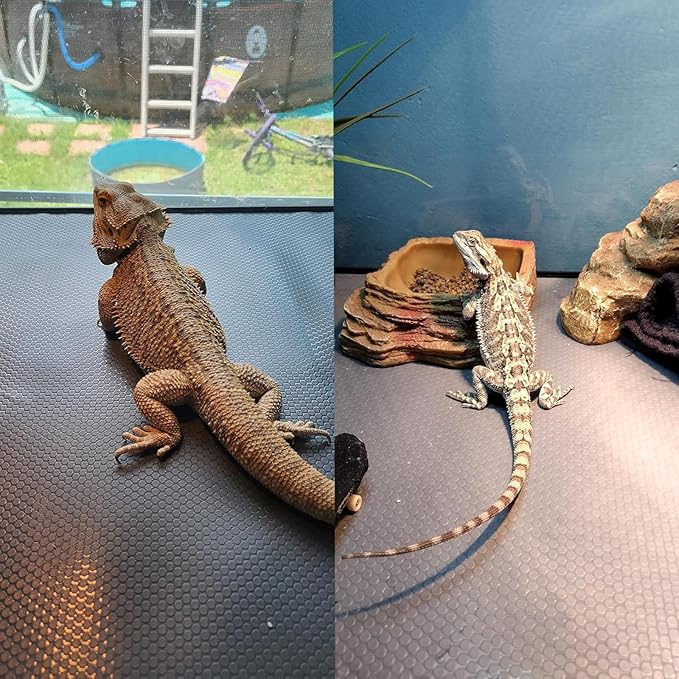 Bearded Dragon Tank Accessories, Reptile Mat, Reptile Terrarium Substrate Liner for Leopard Gecko, Lizard, Snake, Tortoise, Iguana Non-Adhesive Reptile Flooring (18"x36" Grey)
