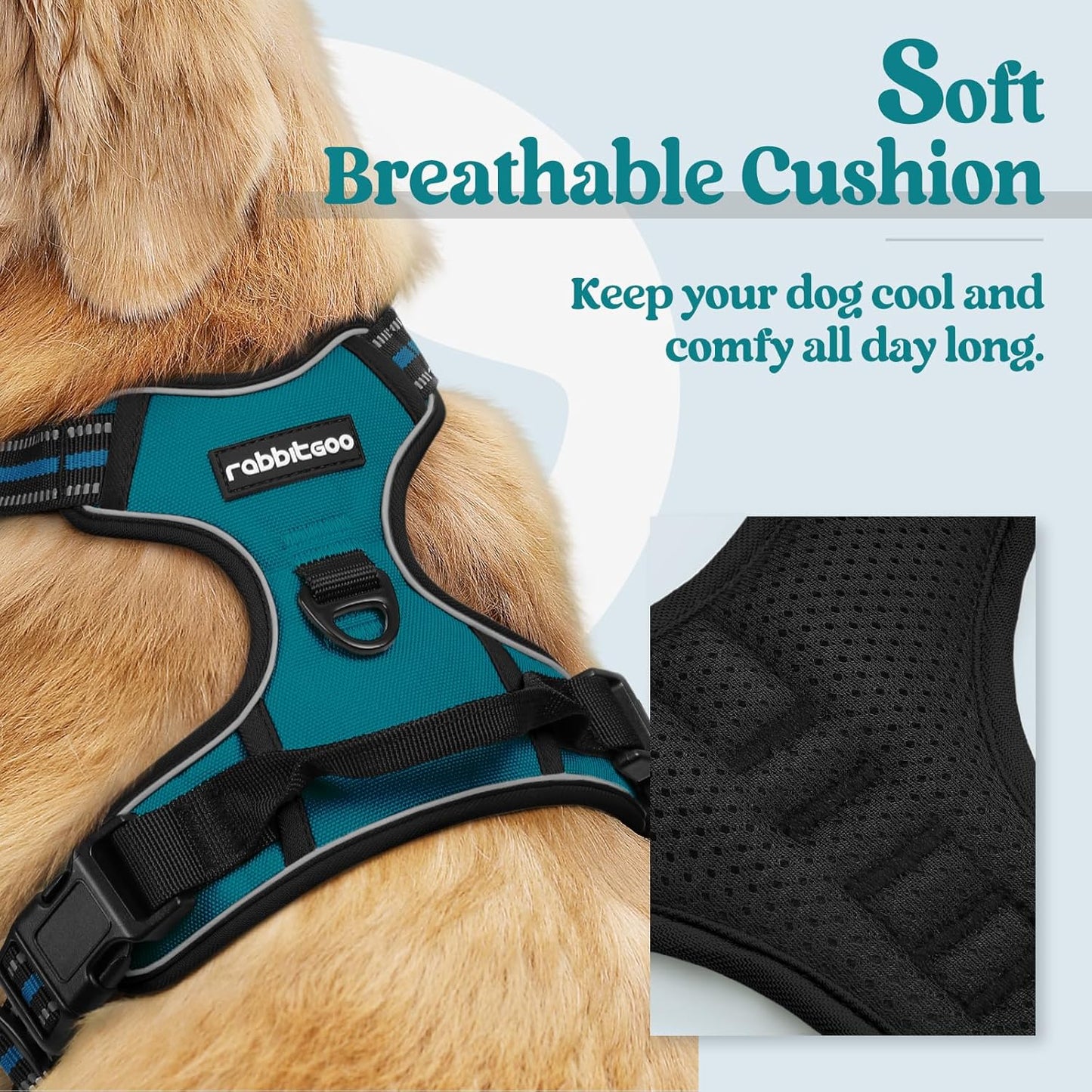 rabbitgoo Dog Harness No Pull with 2 Leash Clips, Adjustable Soft Padded, Reflective Oxford No Choke Pet Vest with Easy Control Handle for Small Dogs, Blue Coral, S