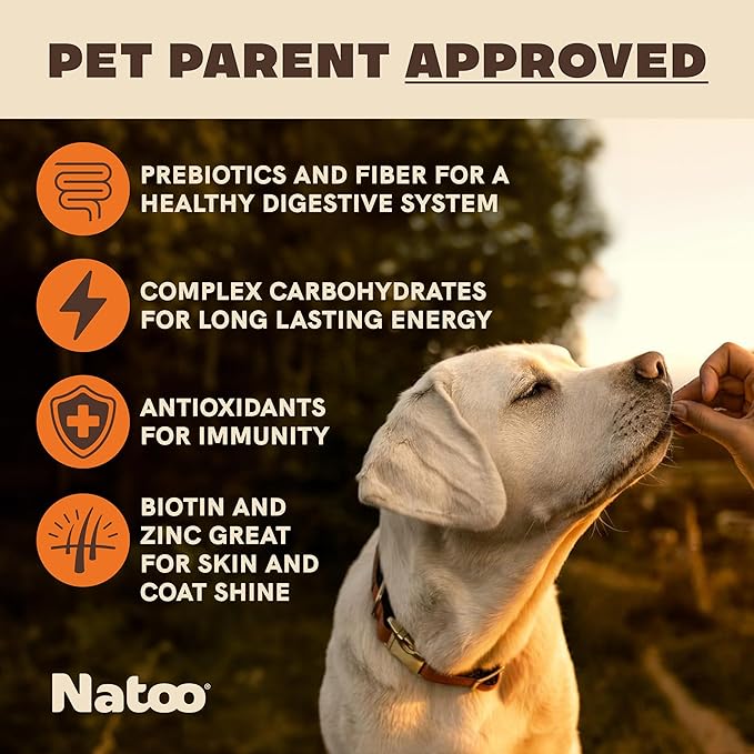 NATOO Biscuits for Small Dogs & Puppies Crunchy Dog Treats, Sweet Potato & Pumpkin Healthy Natural Canine Biscuits, Rich in Omega 6, Prebiotics & Fiber, Antioxidants for Immunity (8 oz)