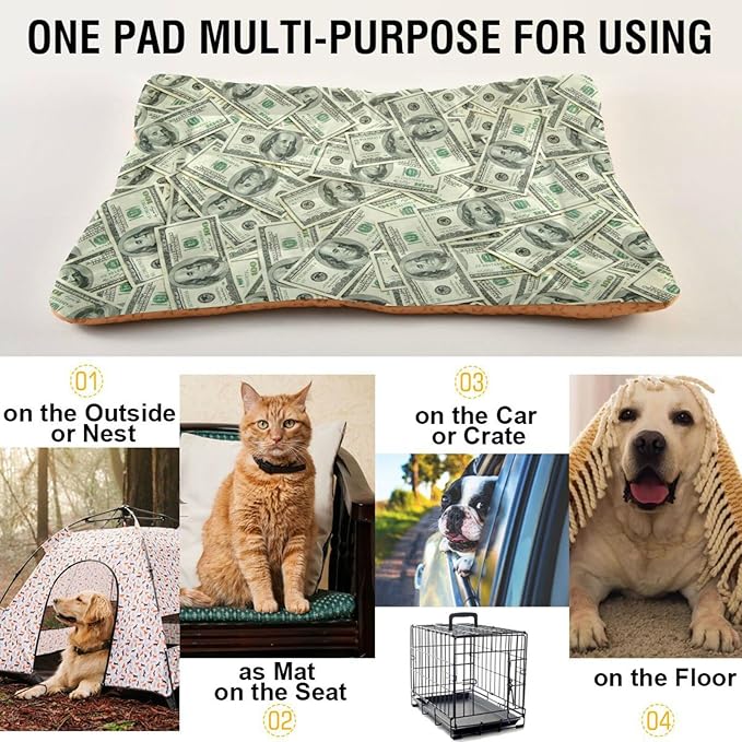 Pet Bed Money Print Dog Bed Mat Absorbing Non Slip Pad Pet Sleeping Mat for Small, Medium, and Large Dogs Puppy Cat 36 in x 24 in