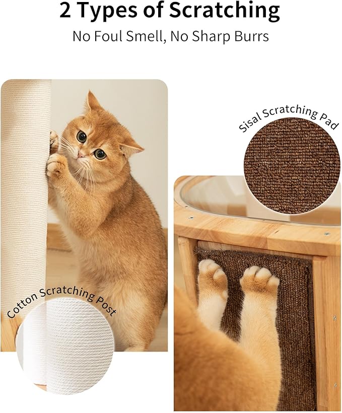 Wood Cat Tree for Large Cats, Modern Cat Tree Tower with Wide Shelves Cotton Scratching Posts, Super Sturdy Base, Cozy Perches, and Interactive Toys for Indoor Kittens