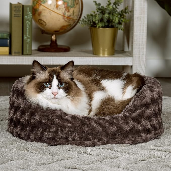 Furhaven Dog Bed for Small Dogs w/ Removable Washable Cover & Pillow Cushion Insert, For Dogs Up to 12 lbs - Ultra Plush Faux Fur Oval Lounger - Chocolate, Small