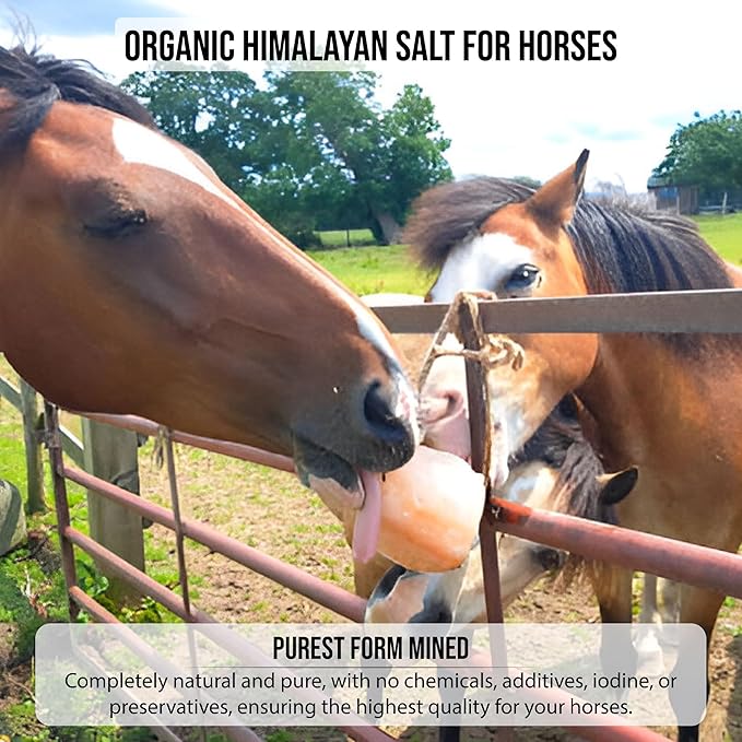 Animal Himalayan Salt Lick on Rope for Horses, Deer, Rabbits, Cows and Other Livestock | Lick Salt for Deer | Digestive Aid for Animals | Horse Treats (HORSE-6LB Pair)
