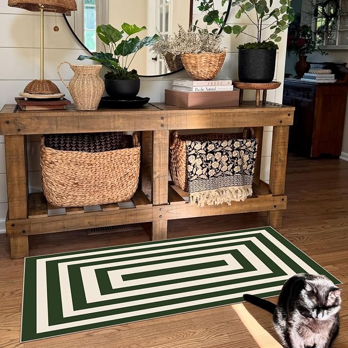 Front Door Mat Indoor Entrance