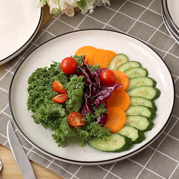 Ceramic White Dinner Plates Set of 6, 10.5 Inch Plates