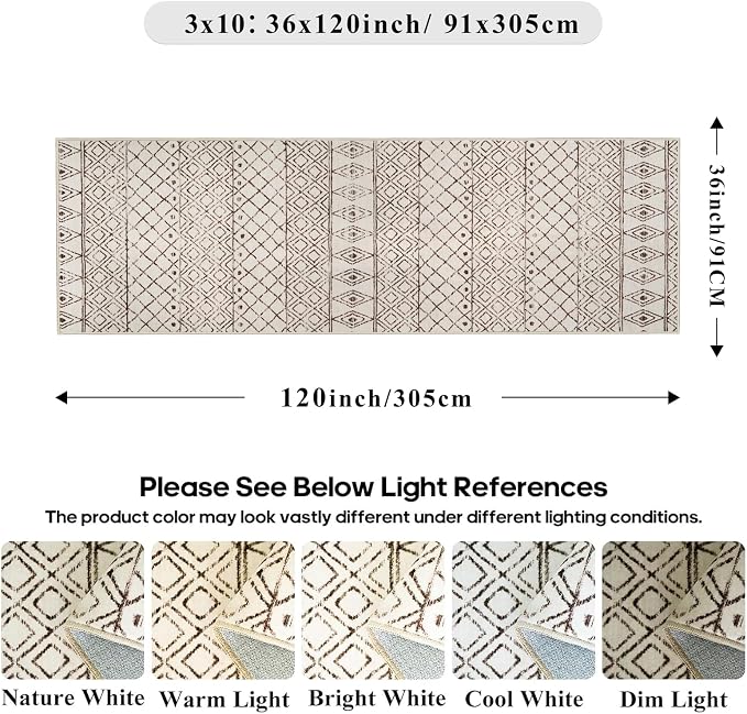 3x10 Runner Rug for Hallway