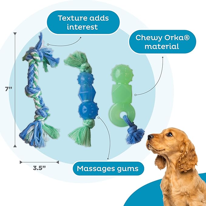 Outward Hound Pupstages Mini Dentachew Pack Dental Chew Toy, Multi-Textured, Fetch & Tug Rope, Puppies & Small Dogs, 7", 3-Pack