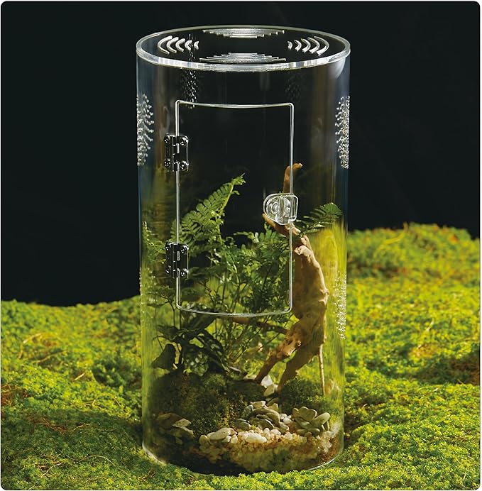 Acrylic Terrarium for Reptiles & Spiders – Small/Medium/Large Leak-Proof Enclosure (Horizontal/Vertical) | Ideal for Tarantulas, Jumping Spiders, Frogs & Geckos(Large Round)