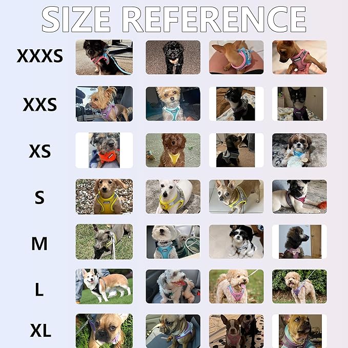 AIITLE Comfortable Dog Harness and Leash Set for Walking - Step in Vest Harness,Reflective Bands, Adjustable No Pull Puppy Essentials, for Small Dogs and House Cats Hot Pink XS