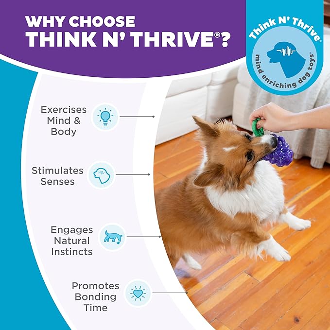 Outward Hound Dental Grapes Dog Toy & Treat Stuffer, 6″ x 3″ Grape-Scent Interactive Chew for Dogs, Helps Clean Teeth, Promote Healthy Gums & Mental Enrichment, Reduce Boredom & Support Dental Health