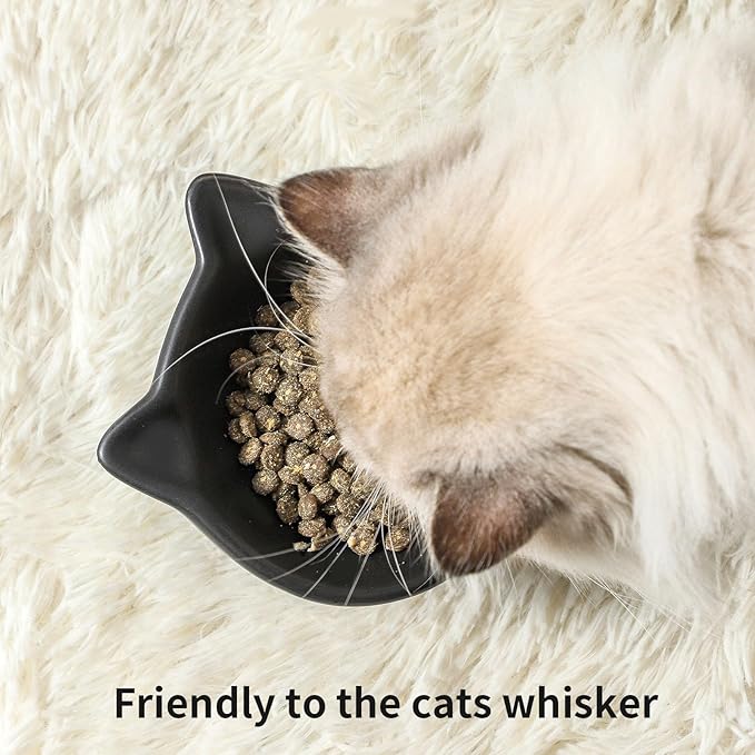 Nihow Slanted Elevated Cat Bowls: 5 Inch Ceramic Raised Cat Food Bowl for Protecting Pet's Spine - Microwave & Dishwasher Safe -Matte Black (4.5 OZ /1 PC)