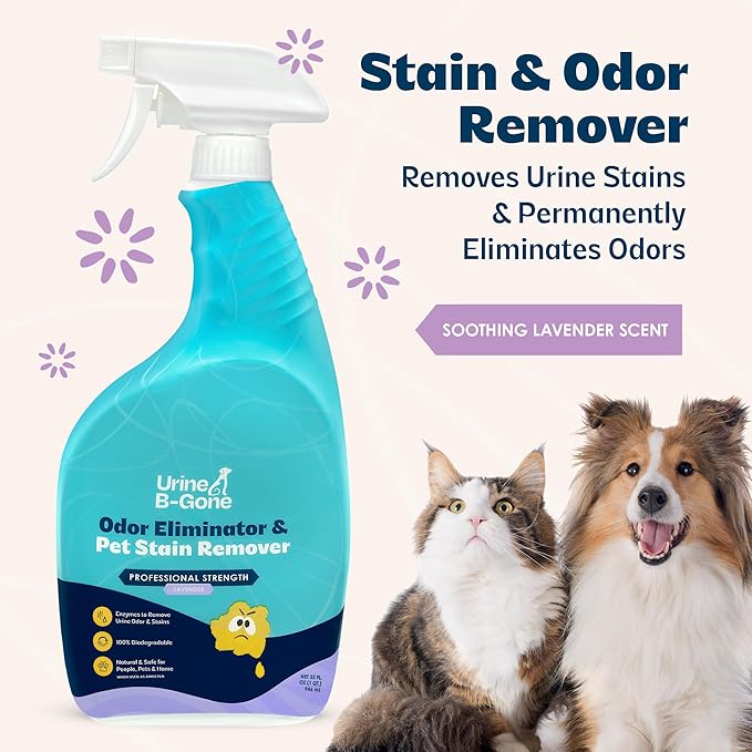 Urine B-Gone, Professional Enzyme Odor Eliminator & Pet Stain Remover, Human, Cat & Dog Urine Cleaner, Effective on Laundry, Carpets & More, Lavender Scent, 32oz