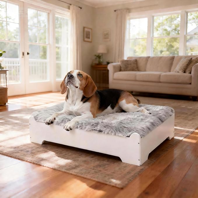 Medium Elevated Wooden Dog Bed Frame with Cushion, Raised Dog Couch Sofa 32½”x 24½” Up to 50lbs