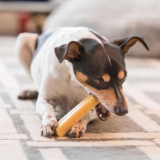 KATHMANDU'S - 100% Natural Himalayan Cheese Dog Chews - for Small Dogs (Pack of 15) - for Improved Dental Hygiene & Protein-Rich Nutrition, No Preservatives