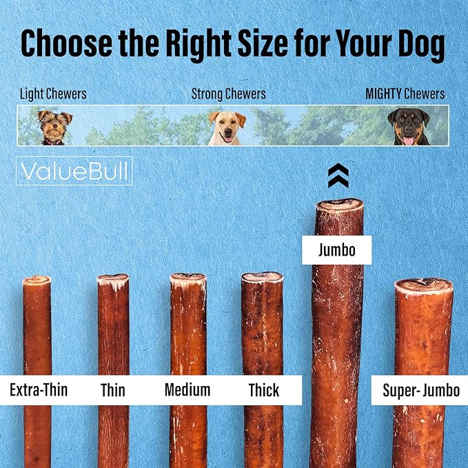 ValueBull Bully Sticks for Large Dogs, Jumbo 6 Inch, 50 Count - All Natural, Grass Fed, Single Ingredient, Long Lasting Dog Treats for Aggressive Chewers