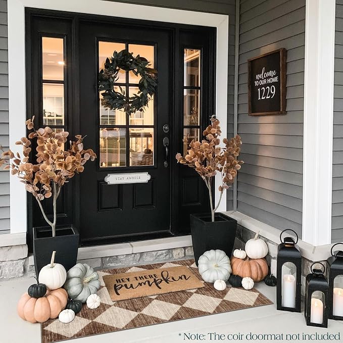 Front Door Mat Indoor Entrance