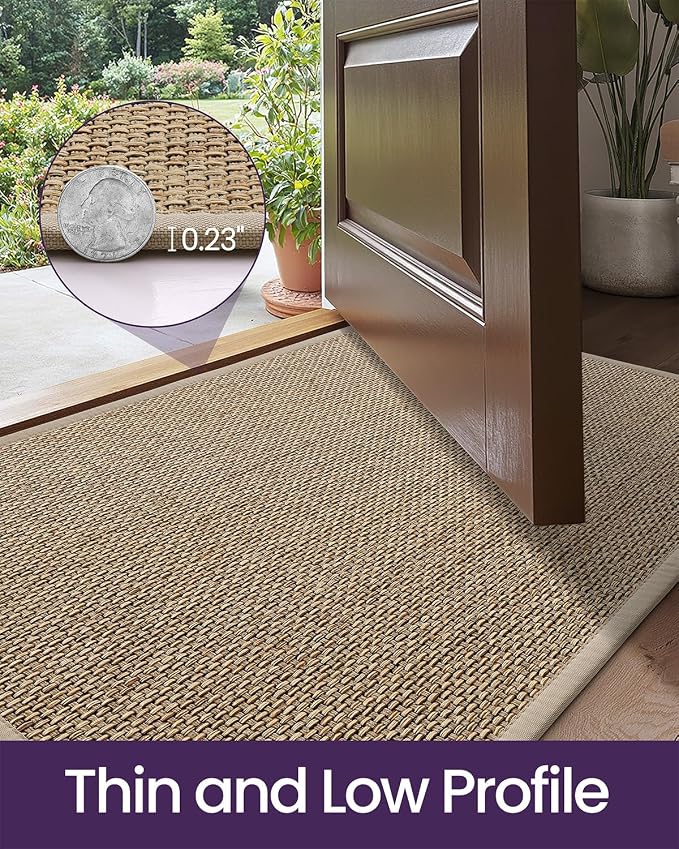 DEXI Ultra Thin Entryway Indoor Door Mat 17x30, Non Slip Rubber Backing Inside