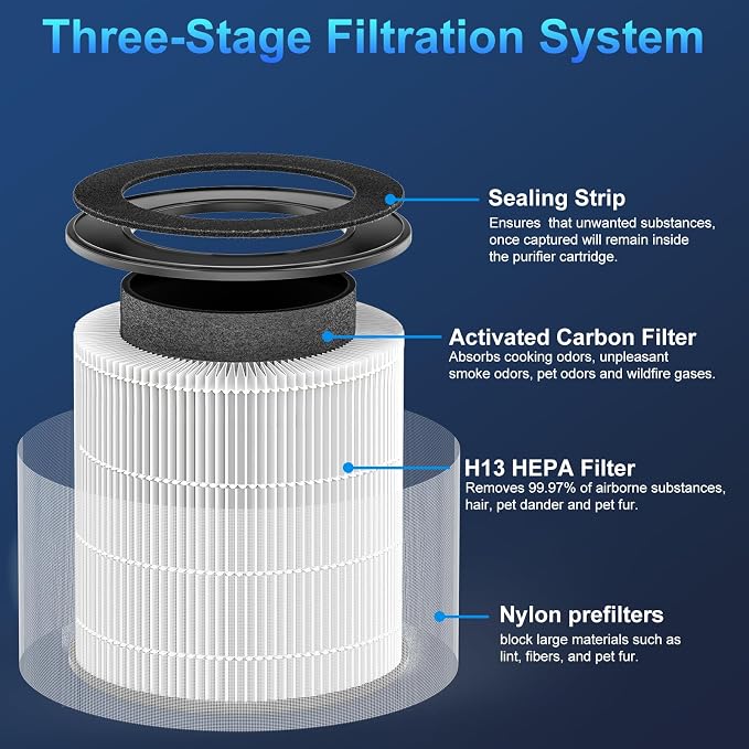 Tailulu D10 Replacement Filter, Air Purifier Filter