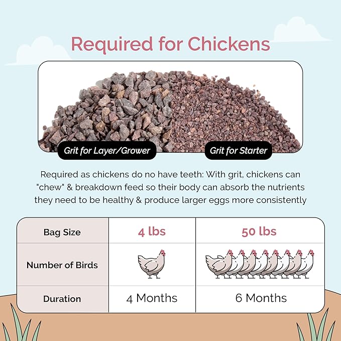 Mile Four Chick Grit for Baby Chicks - Chickens Age 0-8 Weeks, 100% Natural Mineral Chick Grit Quartzite, Poultry Grit Digestive Aid, USA Mined, 4 lbs