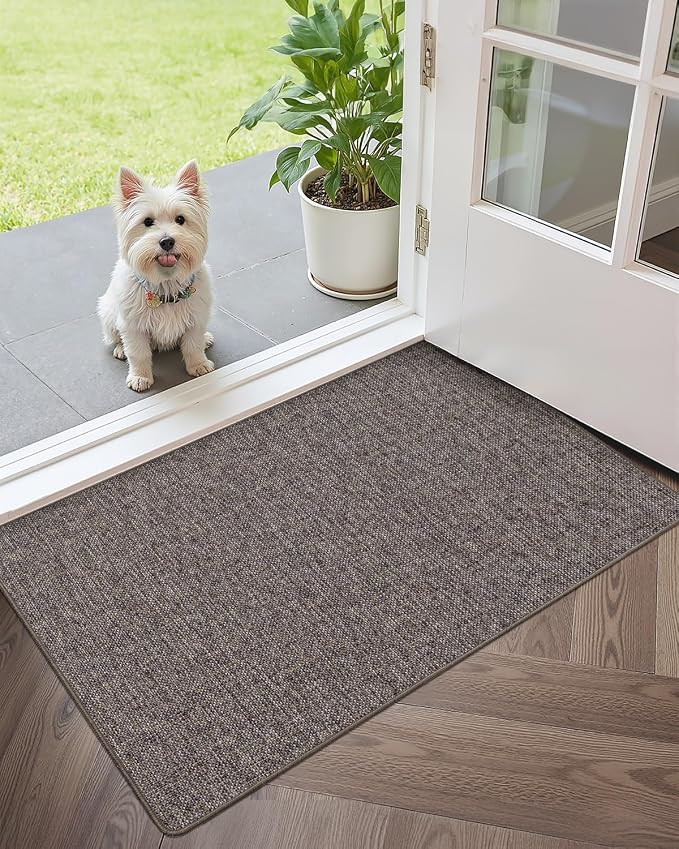 Color&Geometry Ultra Thin Indoor Door Mat 24"x36", Non Slip Rubber Backed Dirt