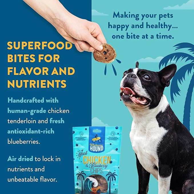 Chicken & Blueberry Chips – 2 Simple Ingredient Dog Treats, All Natural & Healthy Training Snacks for Small, Medium & Large Breeds, Puppies – High Protein, Made in US 3oz